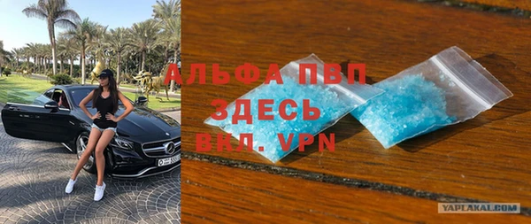 твердый Аркадак
