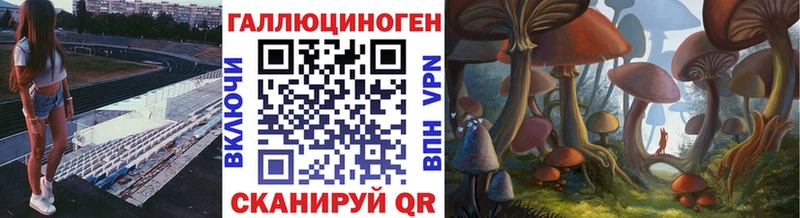 Псилоцибиновые грибы прущие грибы  хочу   Сураж 
